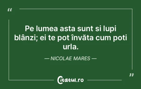 Nu plânge fără motiv și mai ales, nu... Nu plânge fără motiv și mai ales, nu...