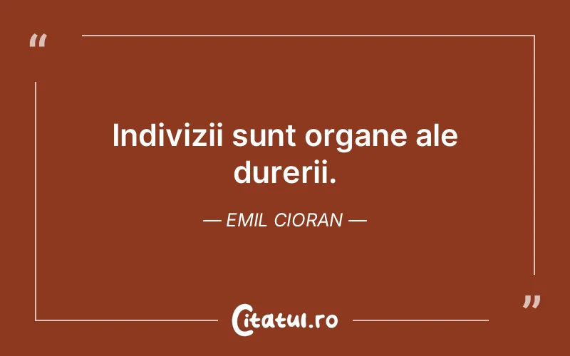 Citat Emil Cioran - citate viata