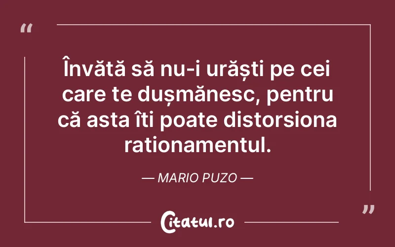 Citat Mario Puzo - citate viata