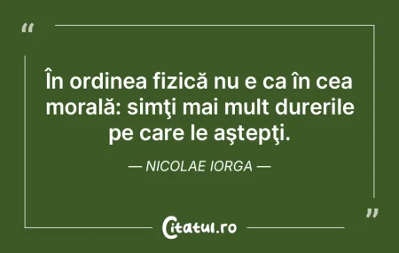 Maghiarii urlă de dureri închipuite. O...