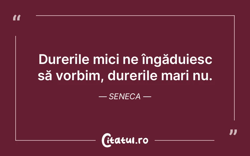 Citat Seneca - citate viata
