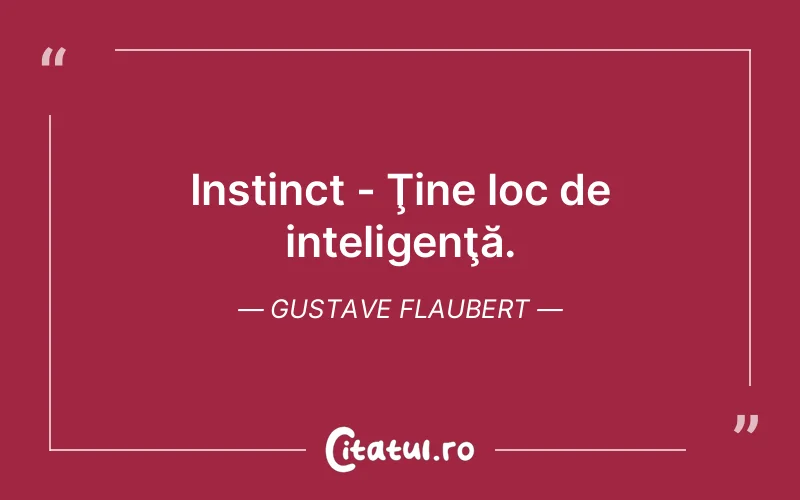 Citat Gustave Flaubert - citate viata