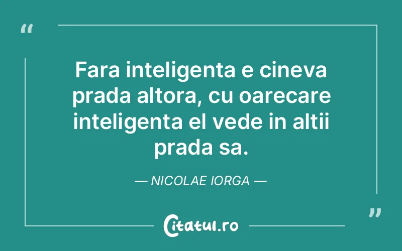 Citat Nicolae Iorga - citate viata