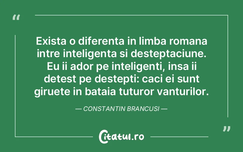 Citat Constantin Brancusi - citate viata