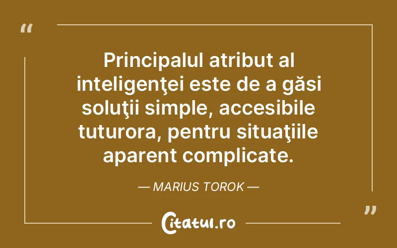 Citat Marius Torok - citate viata