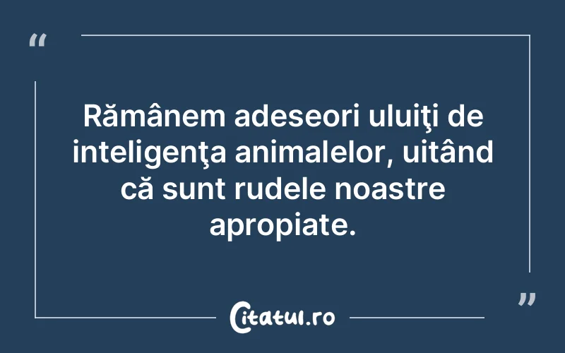 Citat Autor necunoscut - citate viata