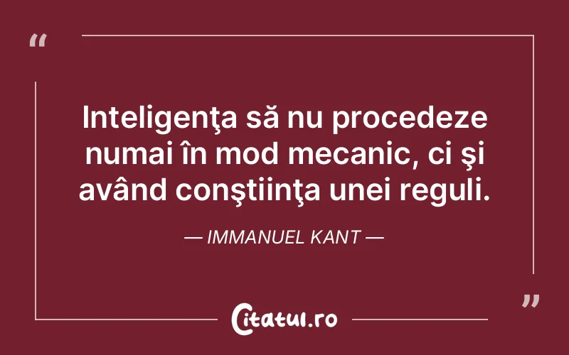 Citat Immanuel Kant - citate viata