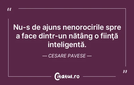 Cel care nu se încumeta să fie intelig... Cel care nu se încumeta să fie intelig...