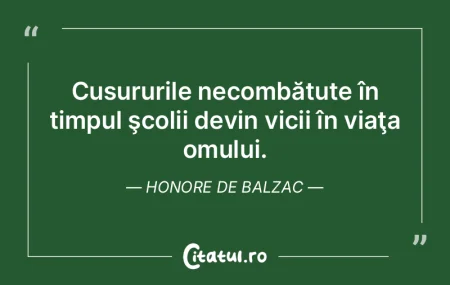 Cusururile necombătute în timpul şcol...