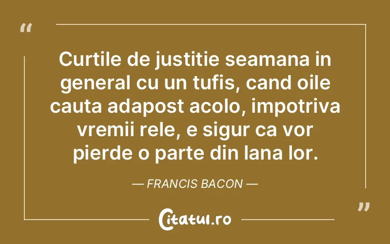 Citat Francis Bacon - citate viata