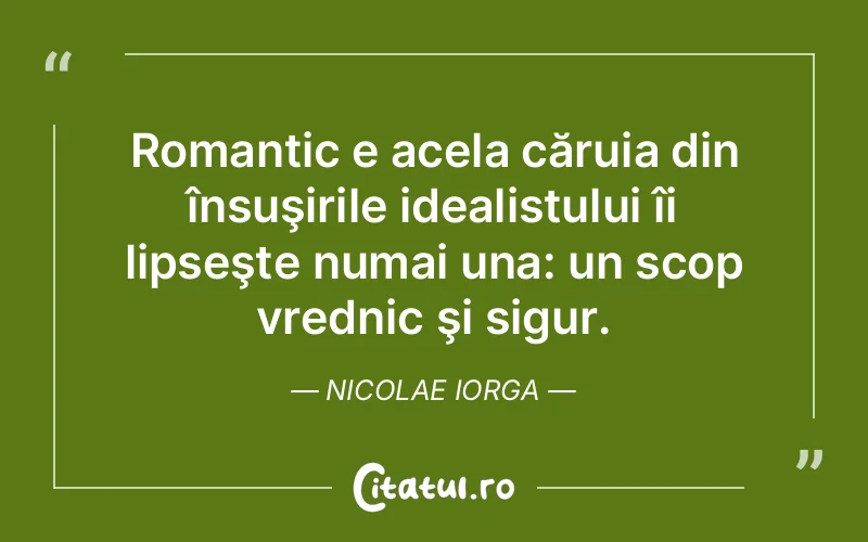 Citat Nicolae Iorga - citate viata