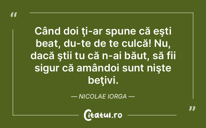 Citat Nicolae Iorga - citate viata