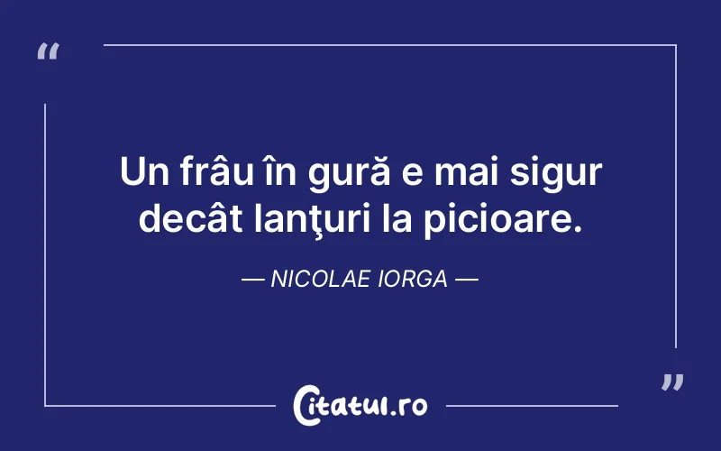 Citat Nicolae Iorga - citate viata