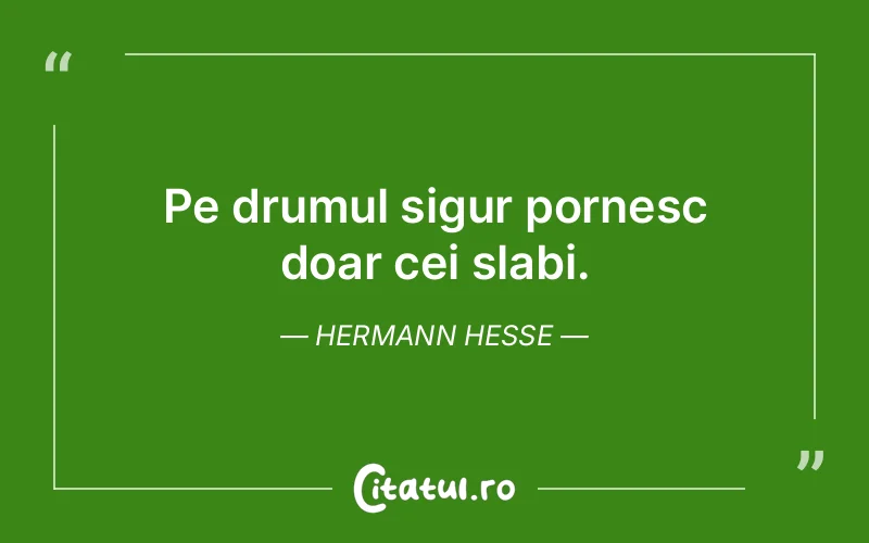Citat Hermann Hesse - citate viata