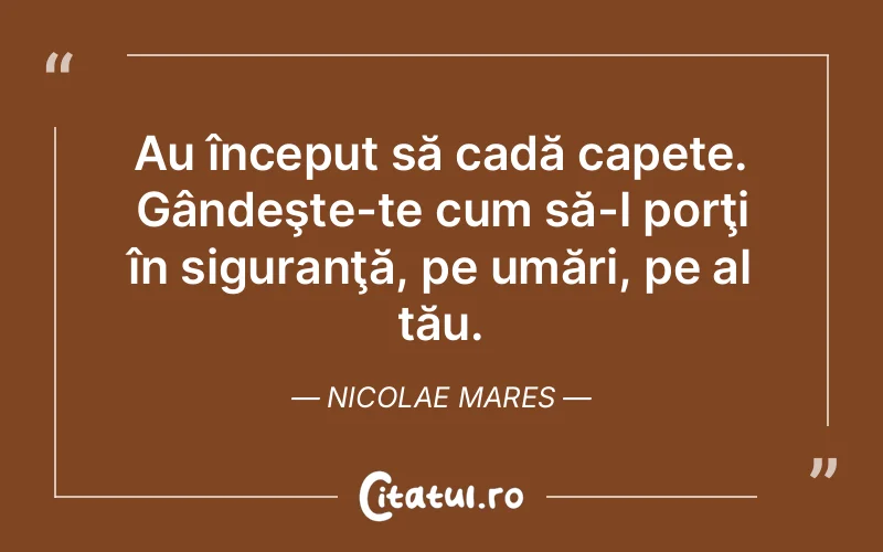 Citat Nicolae Mares - citate viata