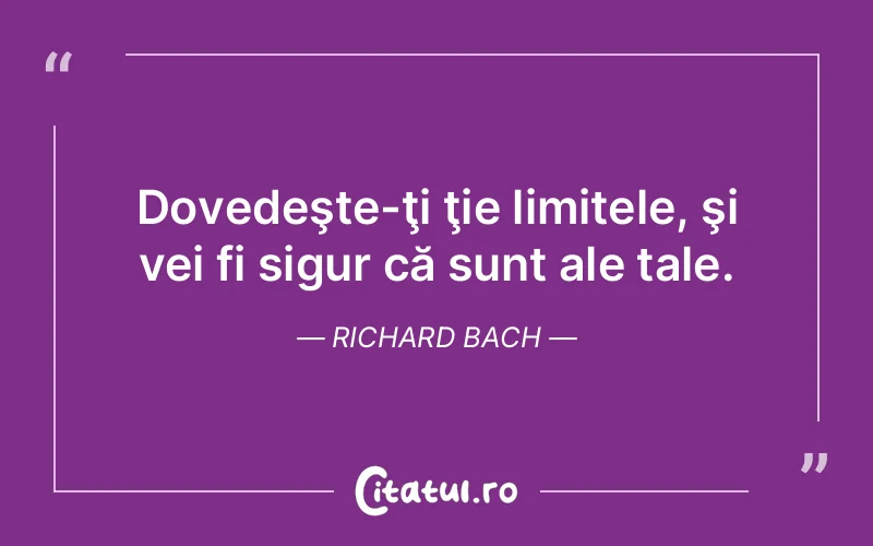 Citat Richard Bach - citate viata