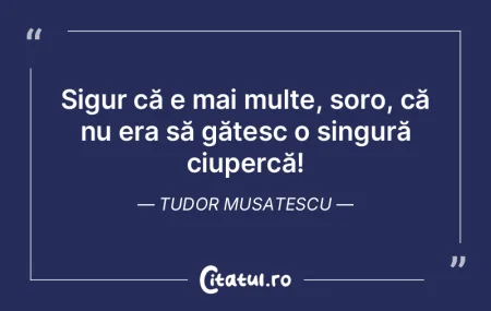 Când ţi se promite cu vârf şi îndes...