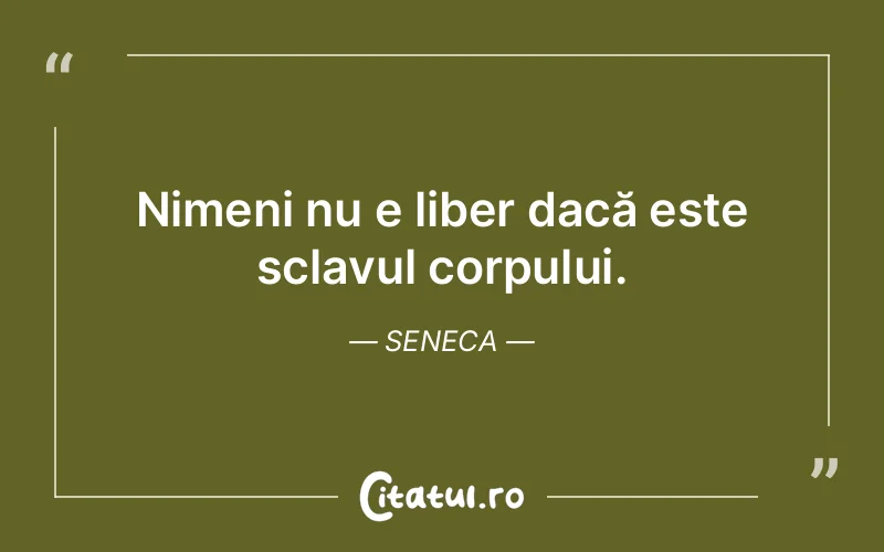 Citat Seneca - citate viata