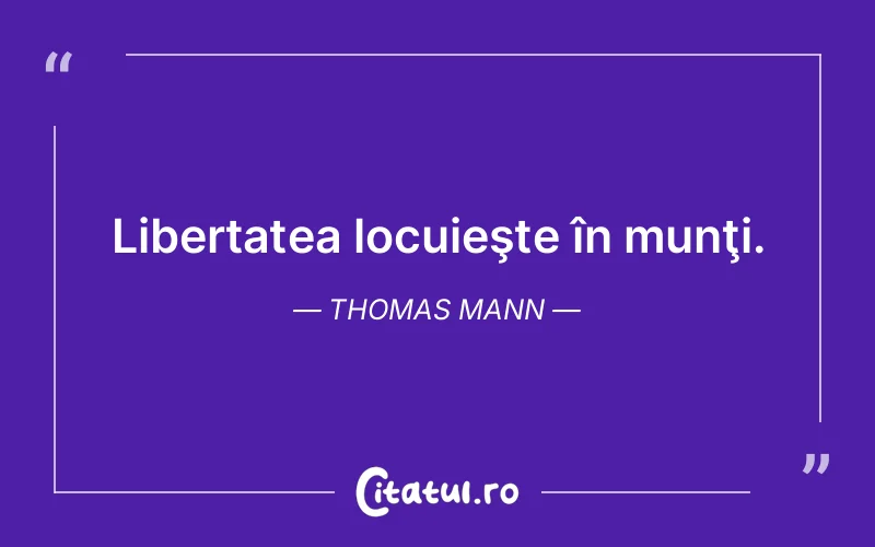 Citat Thomas Mann - citate viata