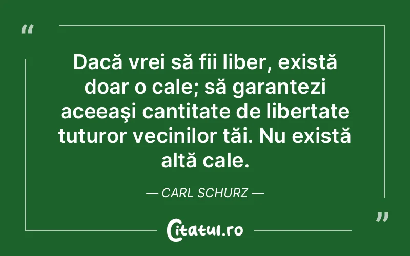 Citat Carl Schurz - citate viata