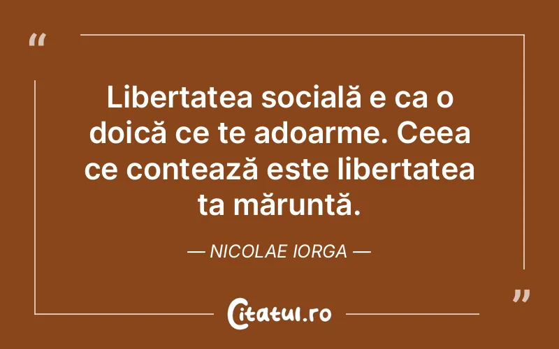 Citat Nicolae Iorga - citate viata