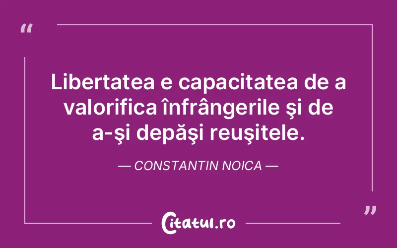 Citat Constantin Noica - citate viata