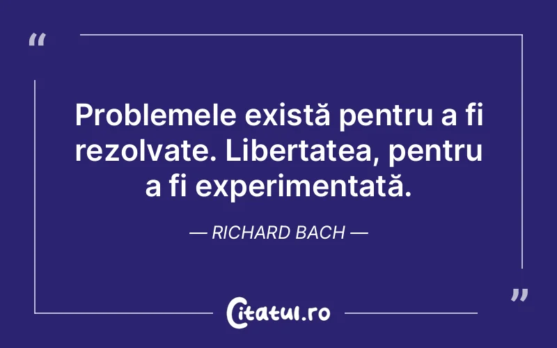 Citat Richard Bach - citate viata
