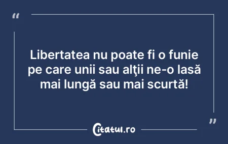 Sculpturile păsări ale lui Brâncuşi ...