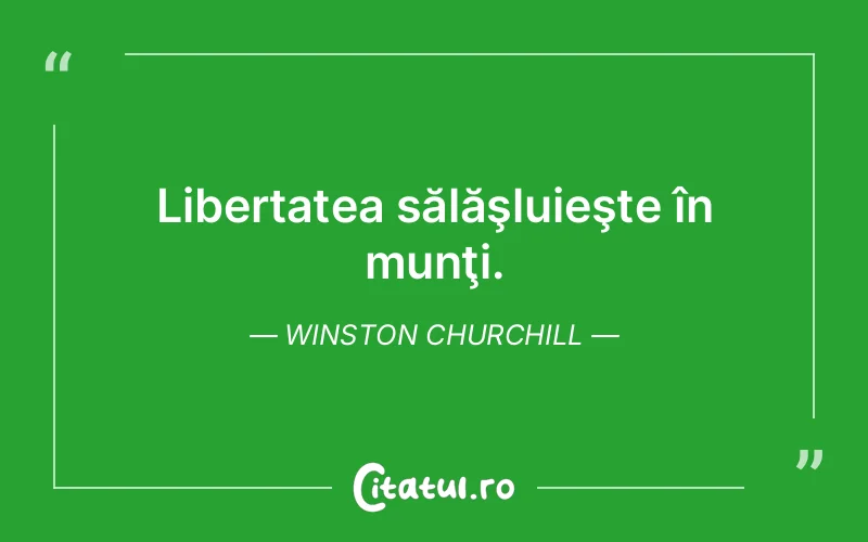 Citat Winston Churchill - citate viata