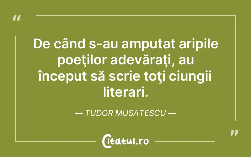 Citat Tudor Musatescu - citate viata
