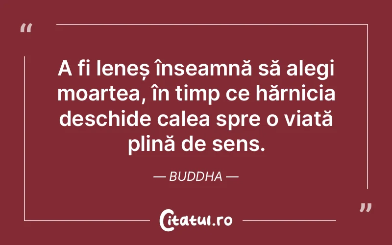 Citat Buddha - citate viata