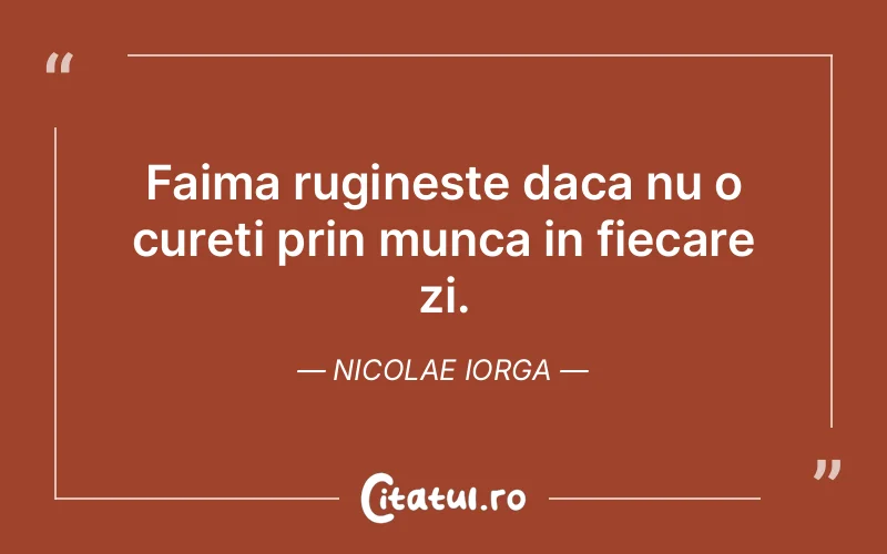 Citat Nicolae Iorga - citate viata