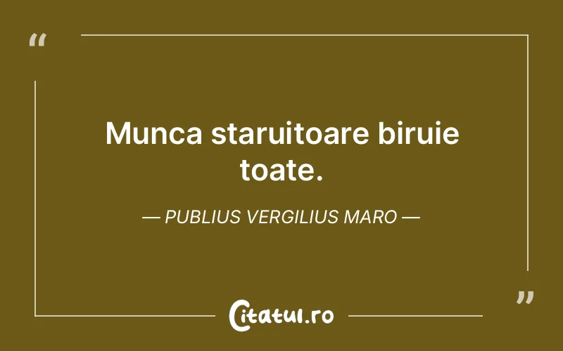 Citat Publius Vergilius Maro - citate viata