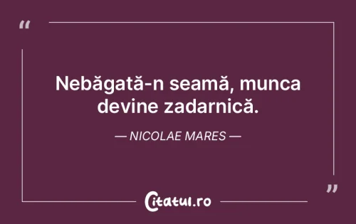 Citat Viață - Citatul.ro