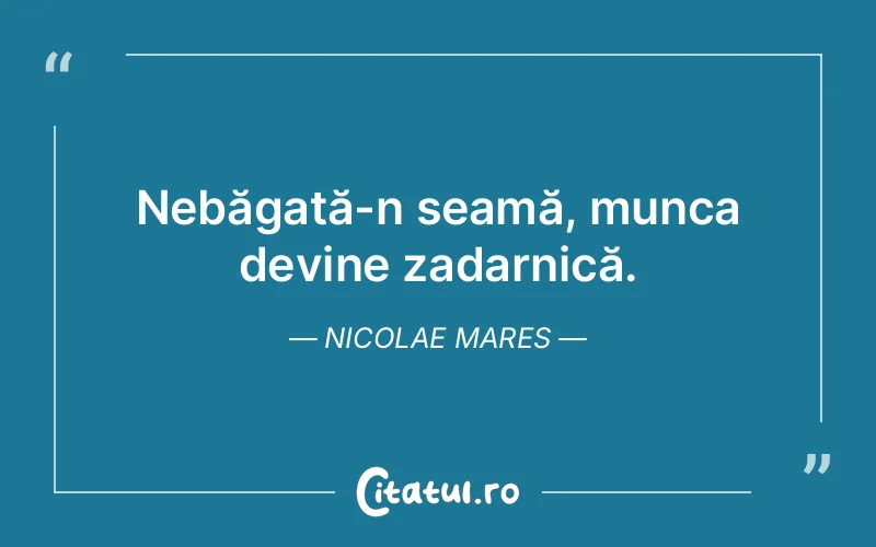 Citat Nicolae Mares - citate viata