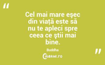 Cel mai mare eşec din viaţă este să nu te apleci spre ceea ce ştii mai bine. Buddha...