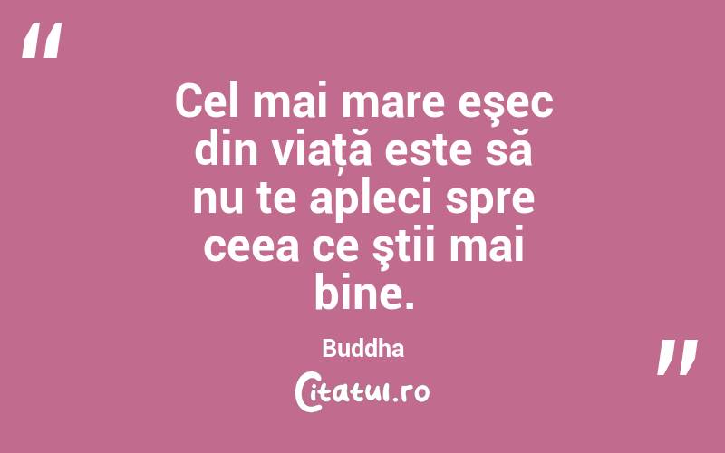 Cel mai mare eşec din viaţă este să nu te apleci spre ceea ce ştii mai bine. Buddha
