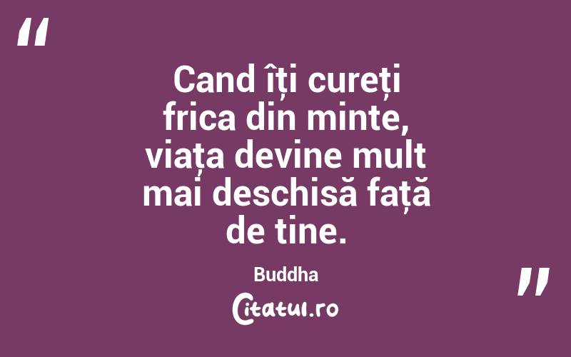 Cand îţi cureţi frica din minte, viaţa devine mult mai deschisă faţă de tine. Buddha
