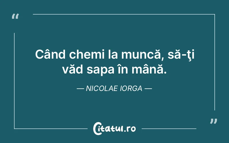 Citat Nicolae Iorga - citate viata