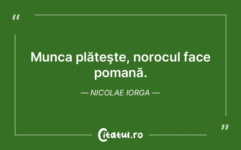 Citat Nicolae Iorga - citate viata