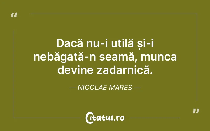 Citat Nicolae Mares - citate viata