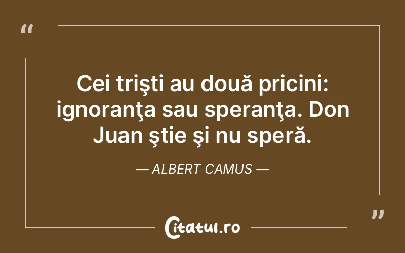 Citat Albert Camus - citate viata