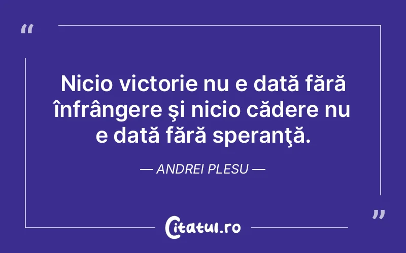 Citat Andrei Plesu - citate viata