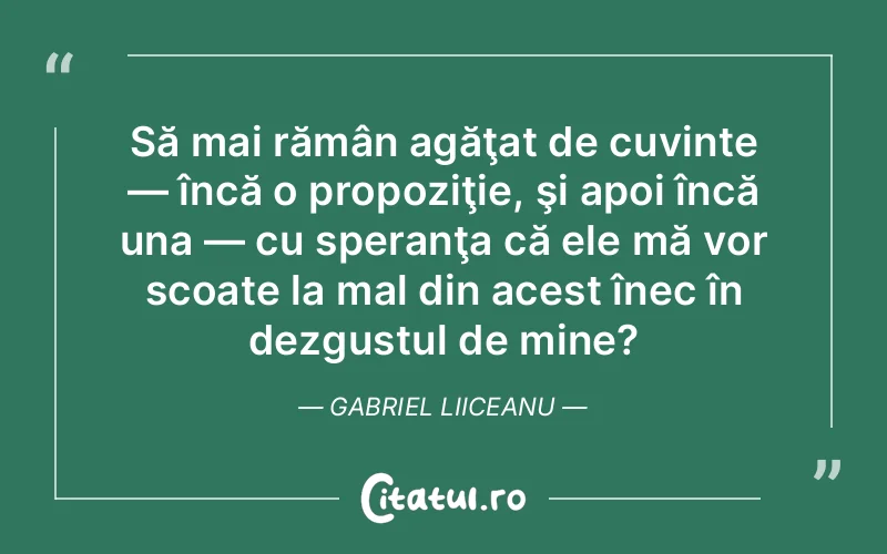 Citat Gabriel Liiceanu - citate viata
