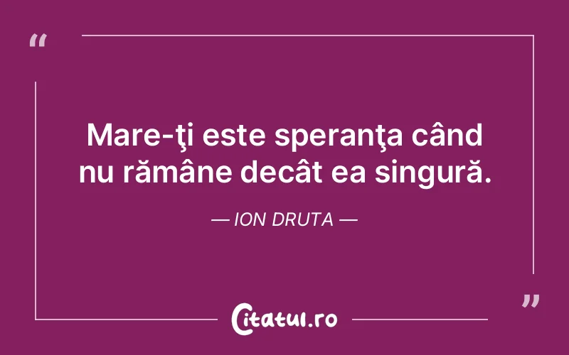 Citat Ion Druta - citate viata