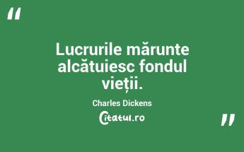 Lucrurile mărunte alcătuiesc fondul vieţii. Charles Dickens...