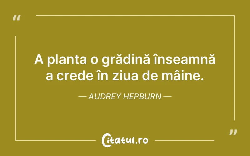 Citat Audrey Hepburn - citate viata