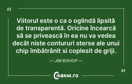 Nu mă gândesc la viitor, va veni el or...