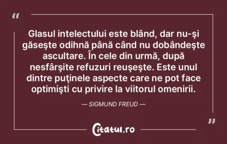 În cazul halucinaţiei reliefăm ca ele... În cazul halucinaţiei reliefăm ca ele...