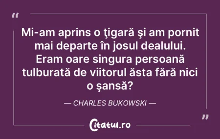 Viitorul nu aduce desăvârşirea, o fă... Viitorul nu aduce desăvârşirea, o fă...